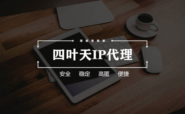 【潍坊代理IP】如何快速搭建代理IP？怎么检查代理的效果？